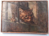 Foto 01